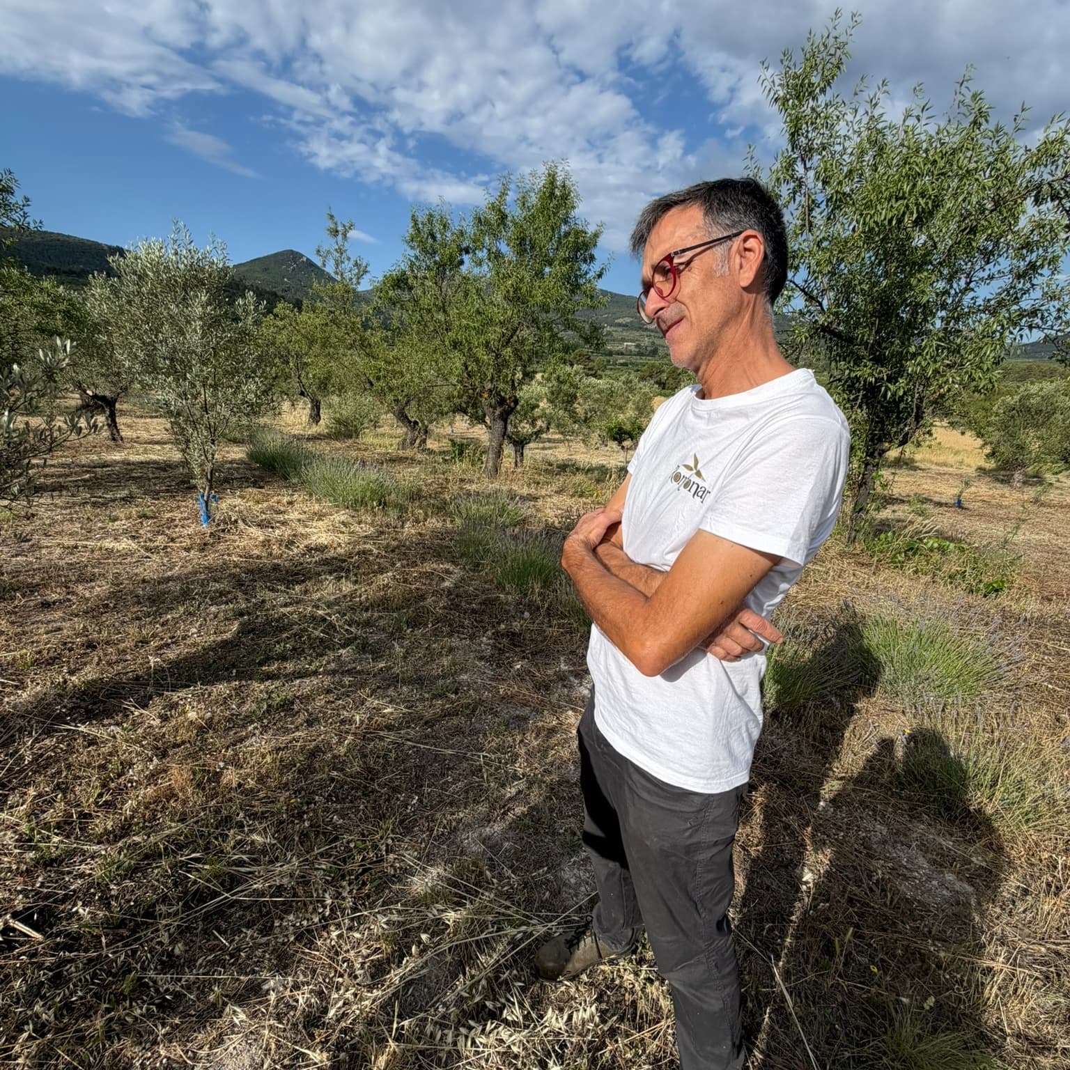 Farming without water