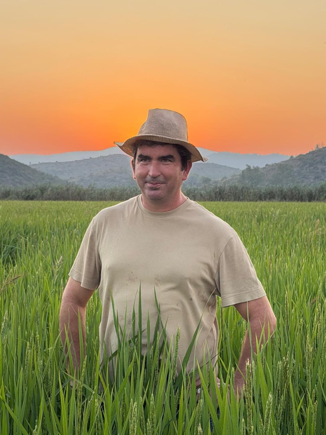 Vicent Dominguís, Rice farmer