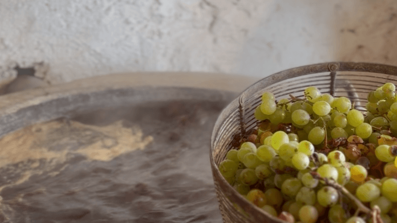 A kist of grapes during escalda proces