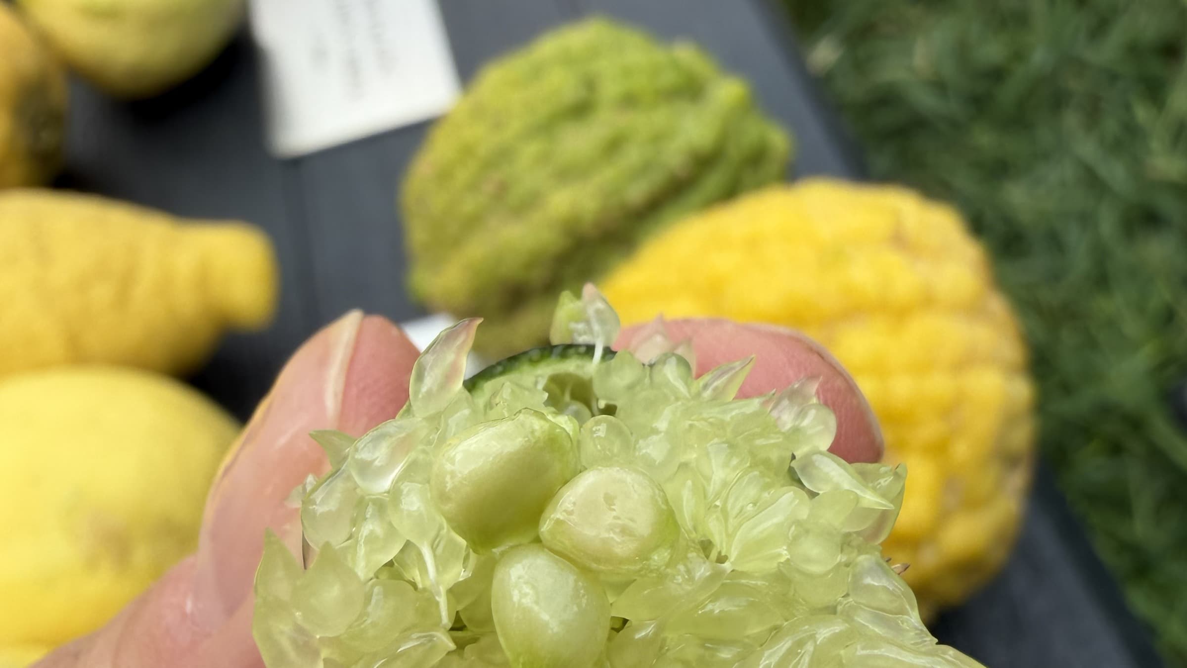 The man who curates fruit